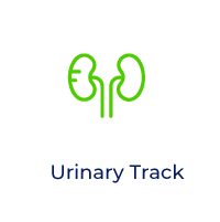 Urinary Track
